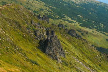 Shpyci dağının kaya oluşumları. Yaz Karpatlar 'ın panoramik manzarası