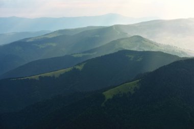 Karpatlar 'daki dağlar, denizanaları, Ukrayna