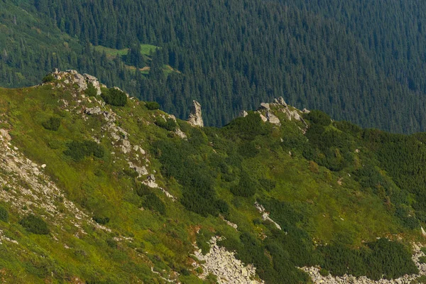 Helling Van Shpyci Berg Met Rotsformaties Prachtig Landschap Behang Karpaten — Stockfoto