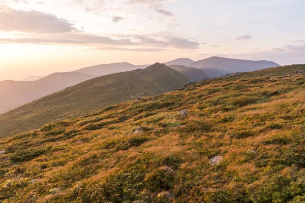 Landscape evening gold light panorama, background wallpaper with sunset. Chornohora ridge, Carpathian Mountains, Ukraine.