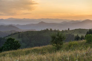 Bukovina 'daki Alp Vadisi, Karpat Dağları, Ukrayna