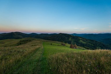 Bukovina 'daki Alp Vadisi, Karpat Dağları, Ukrayna. Çayır ve samanlıklarla dolu kır manzarası