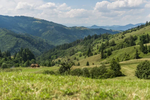 Dolina Alpejska Bukowinie Karpaty Ukraina Krajobraz Wiejski Łąką Sianem — Zdjęcie stockowe