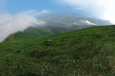 Yaz Karpatlar 'ın panoramik manzarası