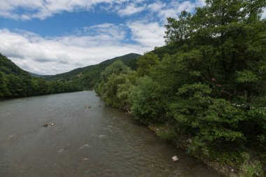 Ukrayna 'nın Karpat bölgesindeki dağ nehri