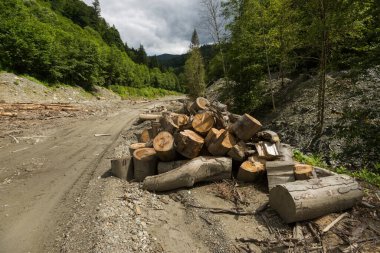 Dağlarda keresteleme, kütük ve kütük, toprak yola yakın kereste