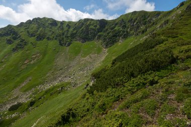 Maramures Karpat Dağları, Ukrayna 'daki Pip Ivan Marmarosky Dağı' nın yamacında.