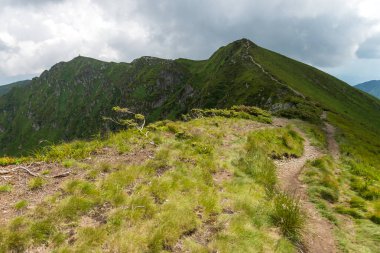 Ukrayna 'daki Maramures Carpathian Dağları' nda Pip Ivan Marmarosky 'nin dağ tepesinde. Yürüyüş yolu