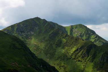 Karpat Dağları, Denizciler, Ukrayna 'daki Pip Ivan Marmarosky Dağı. Yaz dağı manzarası