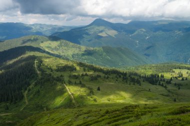 Maramures Carpathian Dağları, Ukrayna 'daki turist rotaları. Renkli dağ manzarası manzarası