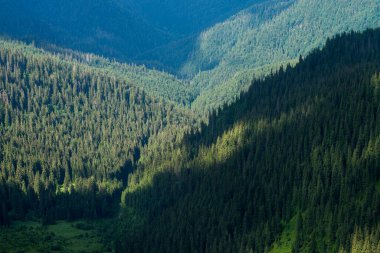 Dağ ormanı ve bulutlar Maramures Karpat Dağları, Ukrayna 'daki gölgeleri gölgeliyor. Doğa manzarası duvar kağıdı