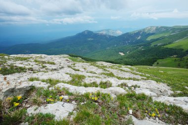 Kırım 'daki Dağ manzarası panoramik manzara, Babugan Yayla