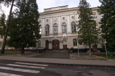 Drohobych, UKRAINE - 17 Kasım 2020: Eski şehir merkezi mimarisi