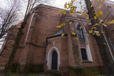 Drohobych, UKRAINE - 17 Kasım 2020: St. Bartholomew Kilisesi 15-16. Yüzyıl, gotik, barok mimari