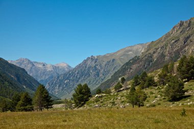 Öğlen dağ manzarası. Tepenin eteğinde ağaçlar olan güzel bir dağ manzarası. Doğanın gelişimi ve sürdürülebilir kalkınma kavramı. Metin konumu