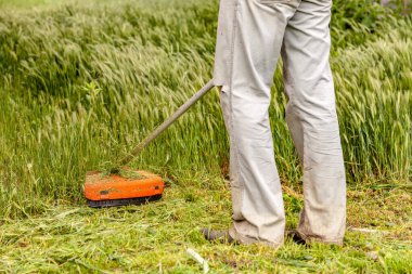 İş elbiseli bir adam bahçesinde budama makinesi olan uzun çimleri biçer.