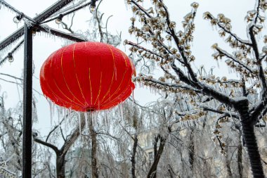 Bir Çin kırmızı feneri kışın sokakta asılı durur, çok buzludur, buz saçakları asılır. Şehirdeki ampullerin arka planına karşı.