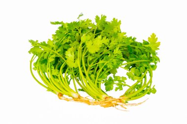 Maydanoz beyaz arkaplanda izole