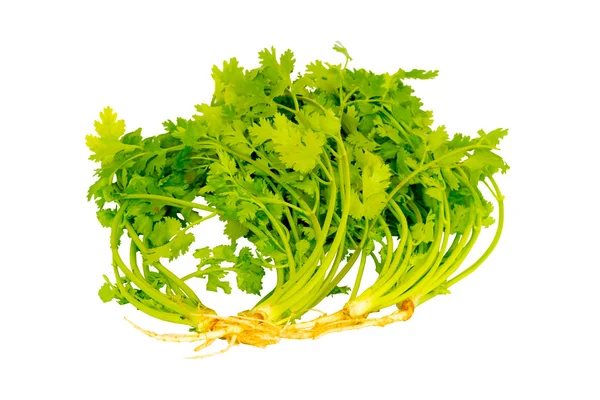 Parsley isolated on white background — Stock Photo, Image