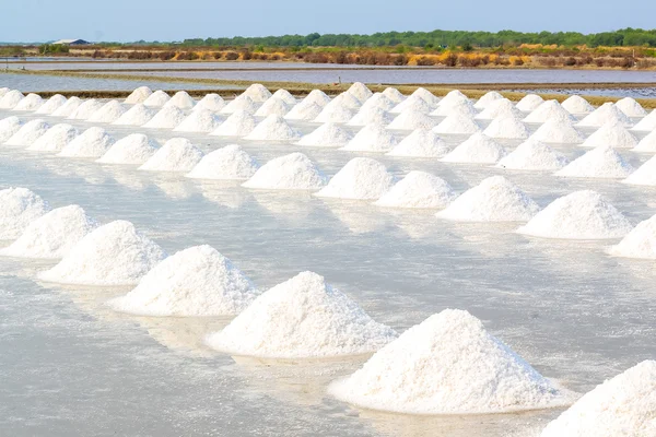 Zout op het zout gebied — Stockfoto