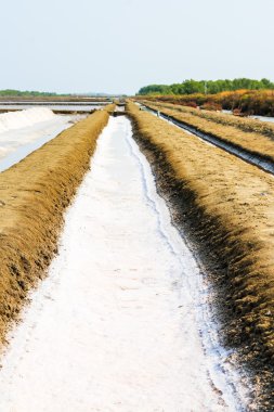 tuz kristalize tuz ile kablo kanalı.