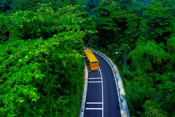 Lange Anreise: Gelber Bus unterwegs im Wald — Stockfoto