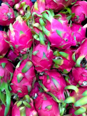 pitaya arka plan: birçok kaktüs türü meyvesi. 