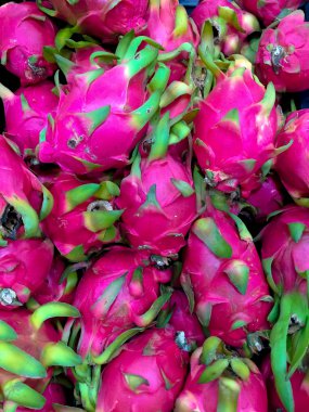 pitaya arka plan: birçok kaktüs türü meyvesi. 