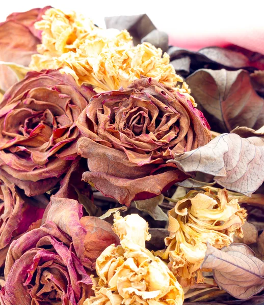 Dry roses background. use for background. — Stock Photo, Image
