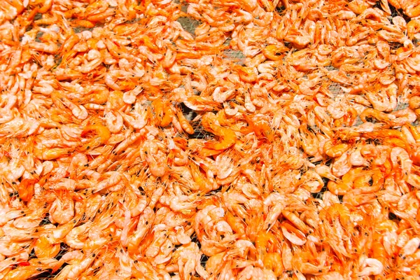 Camarão seco, camarão salgado seco, alimento seco, camarão seco backgrou — Fotografia de Stock
