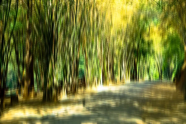 Fondo borroso bosque movimiento — Foto de Stock