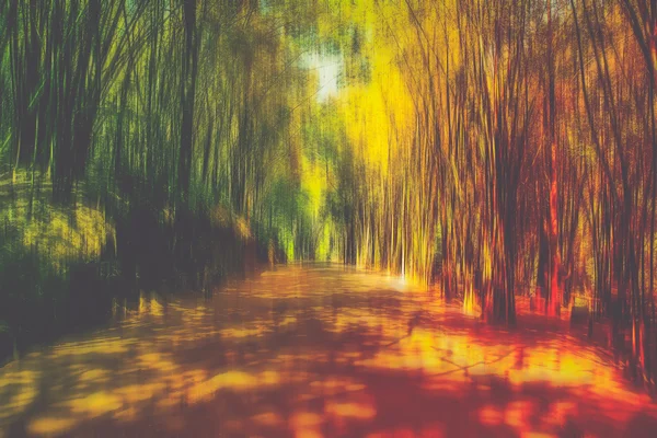 Blurred motion forest background — Stock Photo, Image