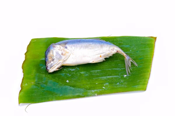 Mackerel dikukus pada daun pisang pada latar belakang putih . — Stok Foto