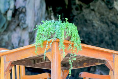 Ahşap bir masa üzerinde vazoda güzel yeşillik.