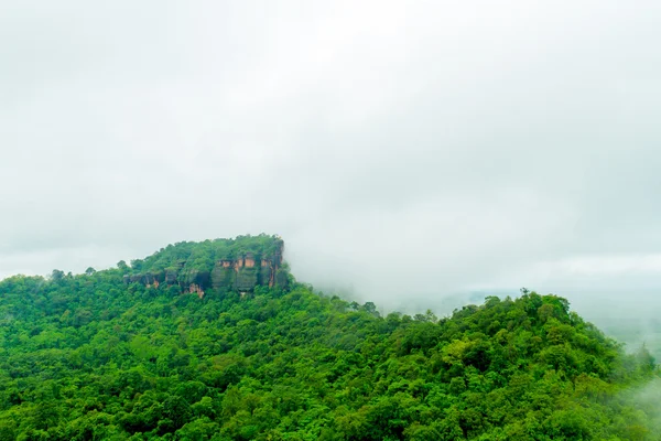 misty mountain abstract background