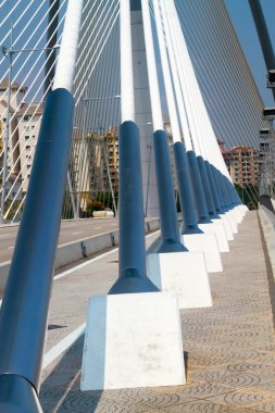 seri Wawasan seri Wawasan Bridge in Malaysia .