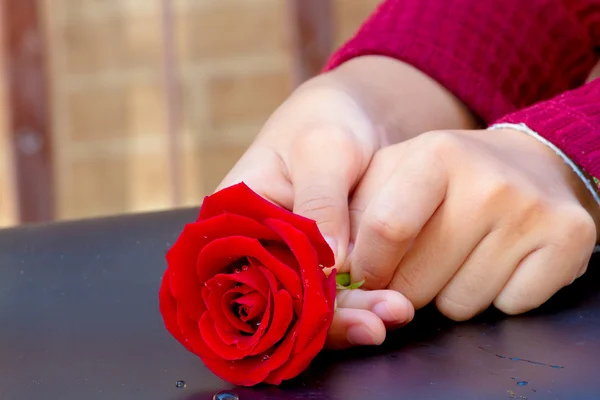 Mano de joven niña sostener una rosa roja —  Fotos de Stock