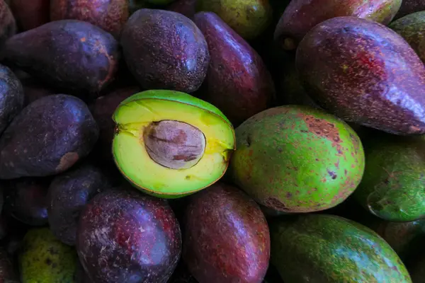 Avocado background.The avocado is a tree that is native to South — Stock Photo, Image