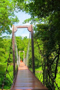 rope bridge or suspension bridge in forest at Khao Kradong  clipart