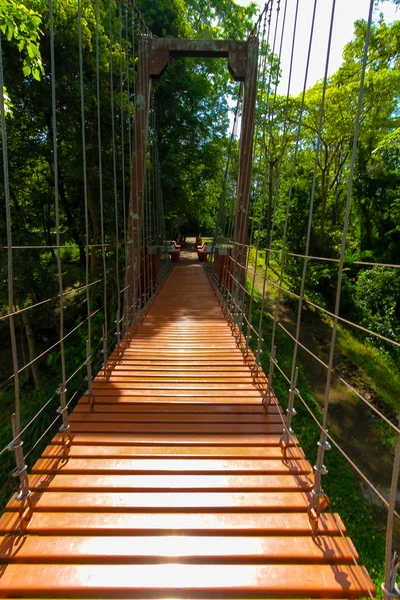 Ponte de corda ou ponte suspensa na floresta em Khao Kradong — Fotografia de Stock