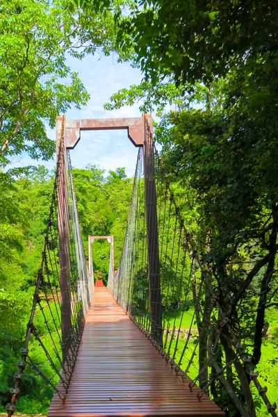 Ponte de corda ou ponte suspensa na floresta em Khao Kradong — Fotografia de Stock