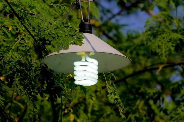 Gündüz sırasında ışıklar ile sokak lambası