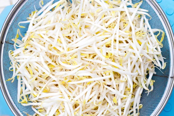 Bean sprouts on table background — Stock Photo, Image
