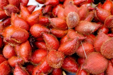 Arka plan: Salak salak bir palmiye ağacı Java için yerel türüdür 