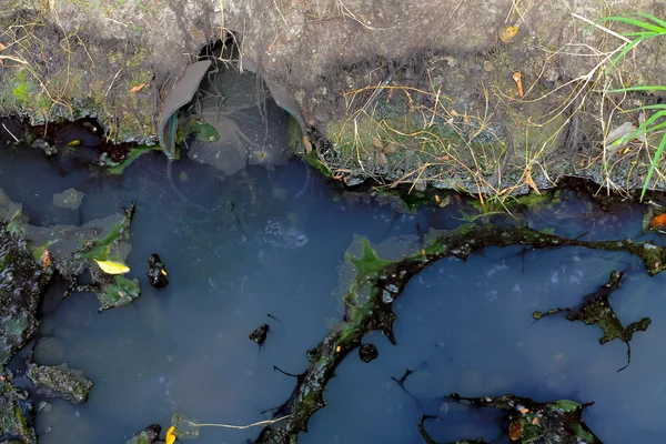 오일 슬 릭 및 하 수, 오염 및 en 더러운 물 흐름 — 스톡 사진