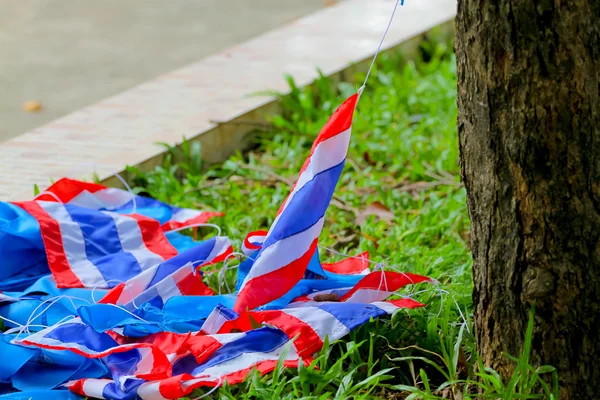 Thailand flagga på träd bakgrund — Stockfoto