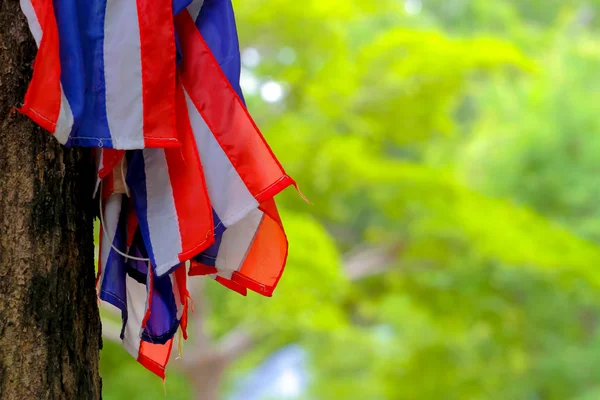 Thailand flagga på träd bakgrund — Stockfoto