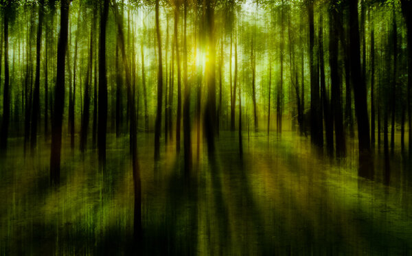 Blurred abstract background photo of natural forest with misty sun light shining out of the treetops with surreal motion blur effect