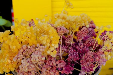 kuru ot çiçek arka plan, seçilen odak