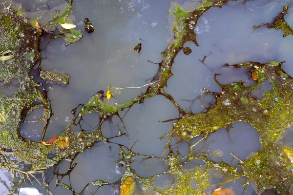 Olievlek en vuil water uit het riool, de vervuiling en de nl stromen — Stockfoto